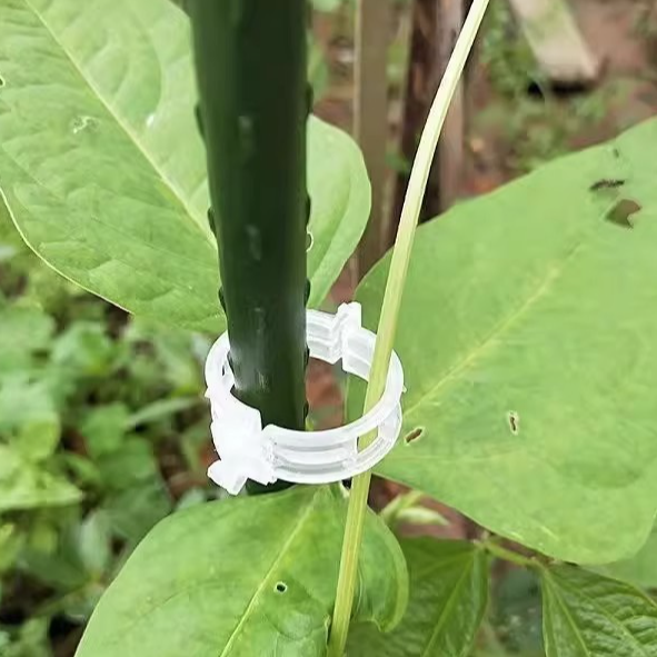 Kẹp nhựa khóa cố định buộc cành dây leo làm vườn kẹp cây ăn quả cây giống cây thân yếu L1512