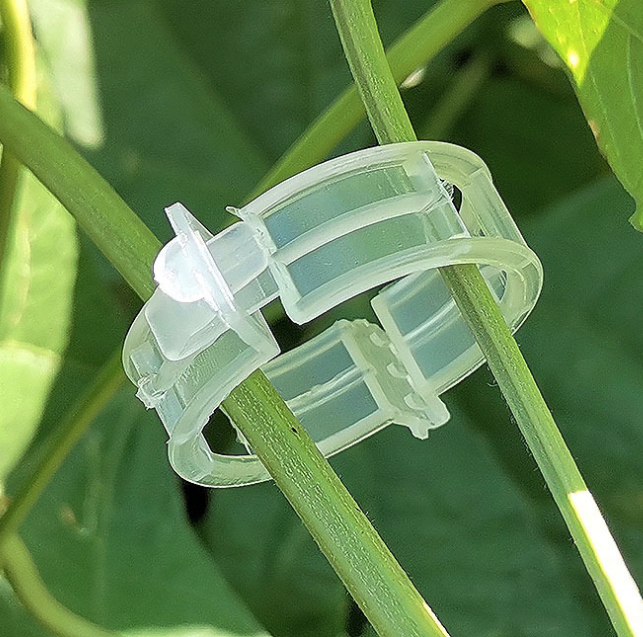 Kẹp nhựa khóa cố định buộc cành dây leo làm vườn kẹp cây ăn quả cây giống cây thân yếu L1512