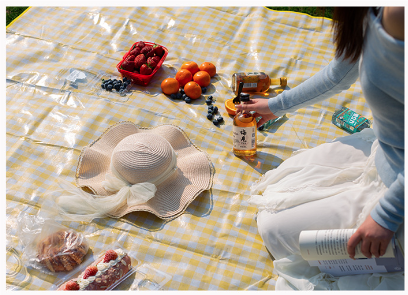 Thảm dã ngoại ngoài trời chống thấm nước chống ẩm có thể giặt được, thảm dã ngoại cắm trại đi biển L1522