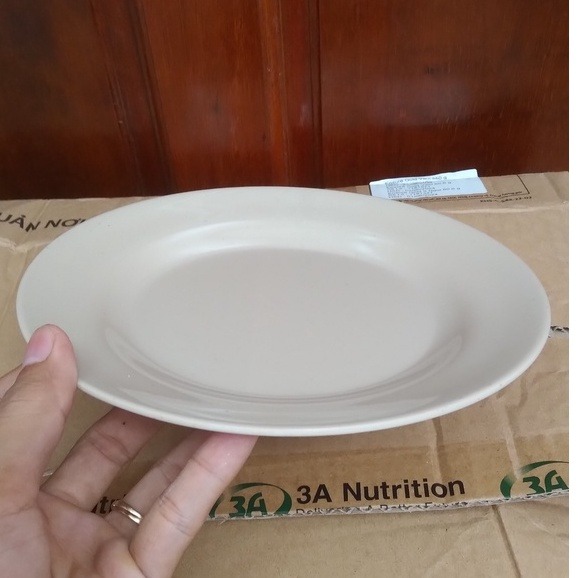 Đĩa Nhựa Tròn Việt Nhật Lòng Nông Cao Cấp Đựng Thức An (1208-4) A2942