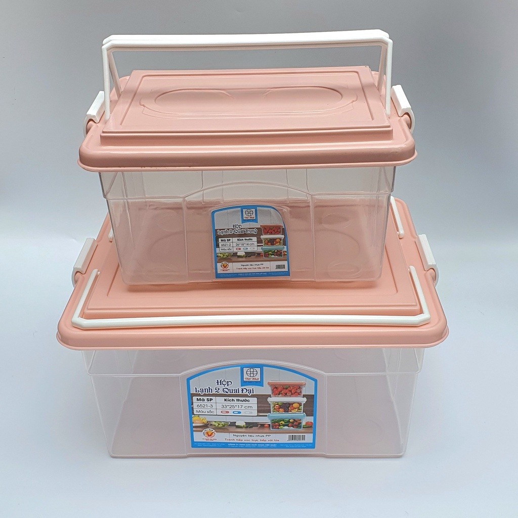Hộp Lạnh Đựng Thực Phẩm 2 Quai Xách Việt Nhật (6521-3) Đựng Trái Cây Rau Củ Hộp Lớn A1873