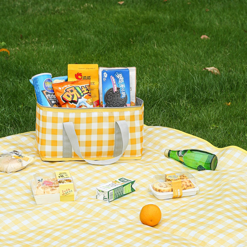 Túi Dã Ngoại Giữ Nhiệt Tráng Bạc Đựng Thực Phẩm Lạnh, Đồ Picnic Du Lịch Tiện Lợi A5032