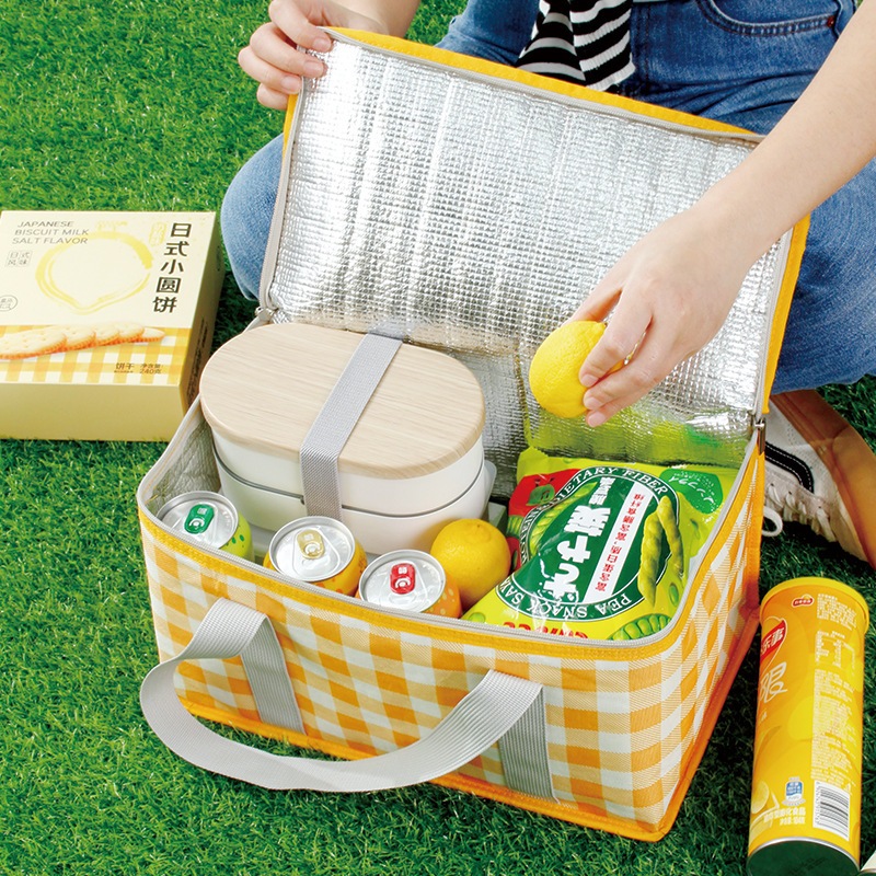 Túi Dã Ngoại Giữ Nhiệt Tráng Bạc Đựng Thực Phẩm Lạnh, Đồ Picnic Du Lịch Tiện Lợi A5032