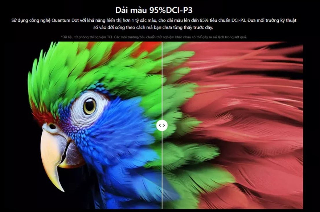 [2024] Google Tivi TCL QLED 4K 65 Inch 65C655 giá tốt, sẵn giao