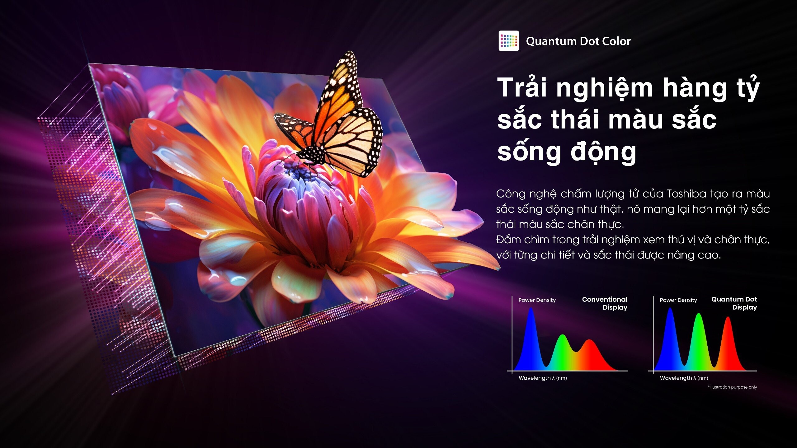 Quantum Dot Color