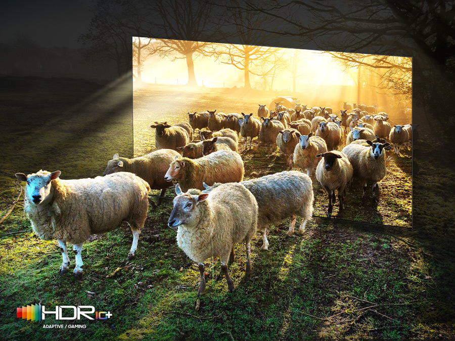 Neo Qled Tivi 8K Samsung Smart TV 75 inch 75QN900B model 2022 giá rẻ