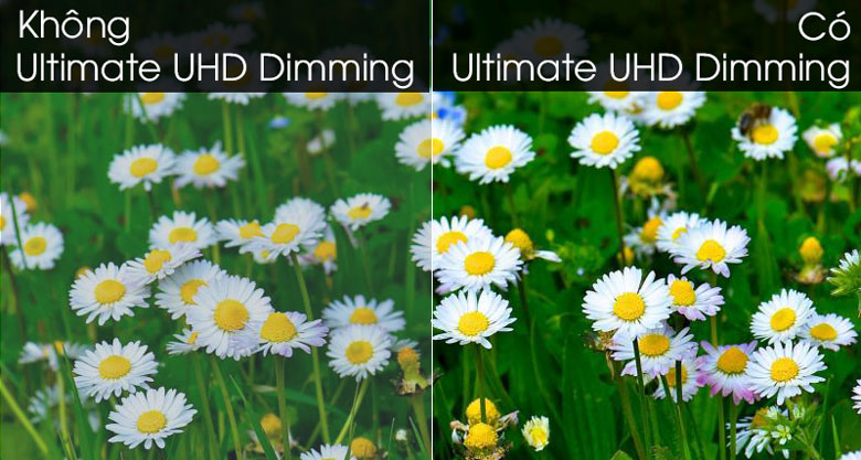 Smart Tivi Samsung 65 inch Oled 4K 65S95BA giá tốt