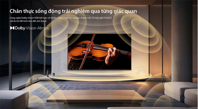 Âm thanh REGZA Power Audio Pro trên Toshiba 100Z670NP