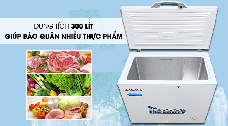 Tủ đông Alaska 300 lít BD-300C