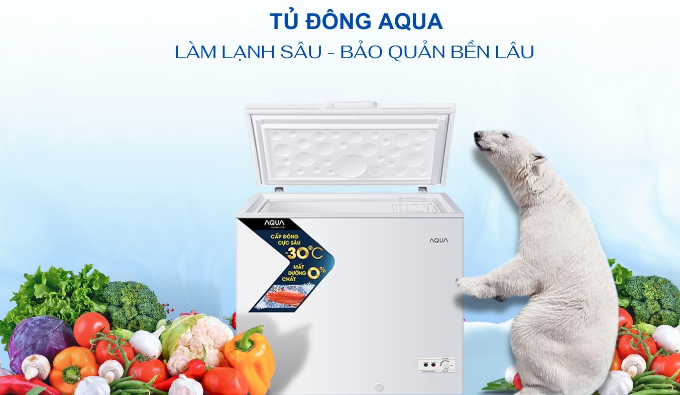 Tủ đông Aqua 301 lít AQF-C4001S