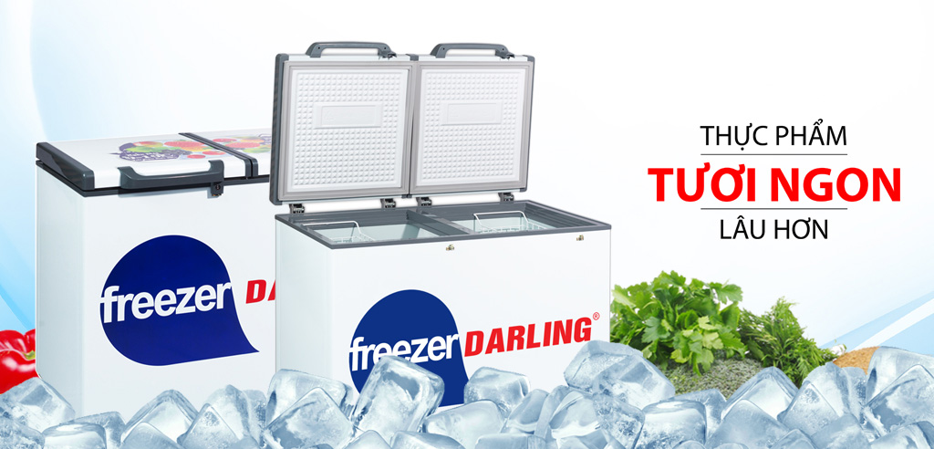 Tủ đông Darling DMF-2799AX 1 ngăn 230 lít thiết kế nhỏ gọn