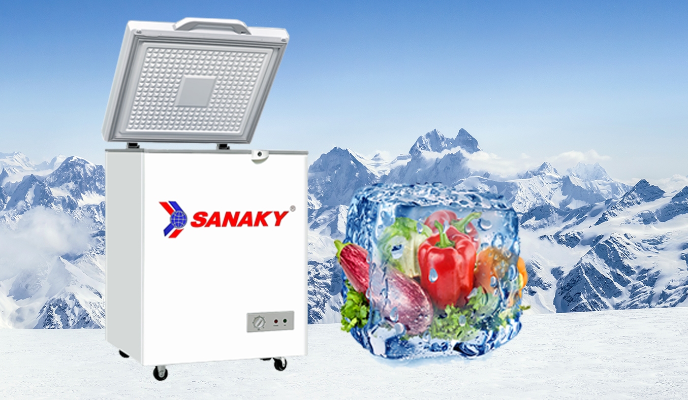 Tủ đông Sanaky 100 lít VH-1599HYKD giá rẻ