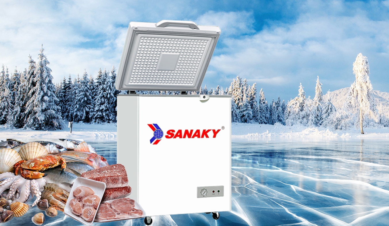 Tủ đông Sanaky 100 lít VH-1599HYKD giá rẻ