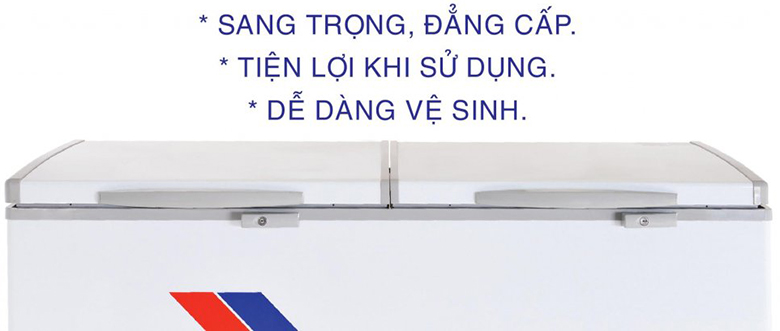 Tủ đông Sanaky 270 lít VH-3699A3