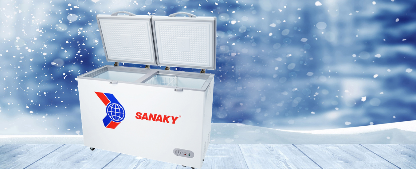 Tủ đông Sanaky 270 lít VH-365A2