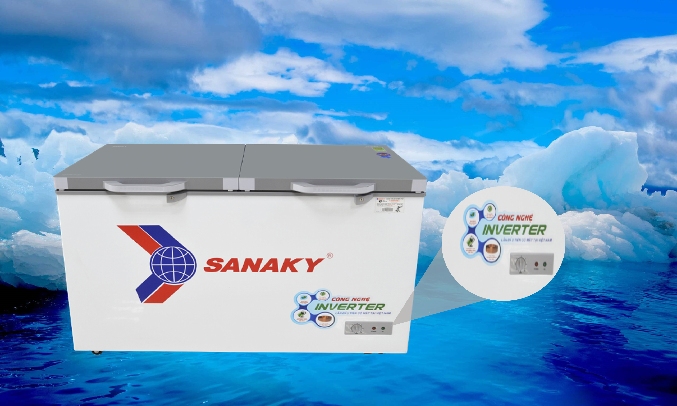 Tủ đông Sanaky Inverter 208 lít VH-2599A4K