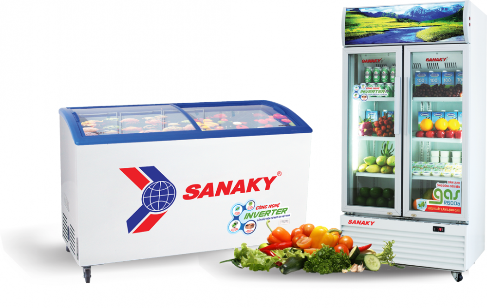 Tủ đông Sanaky inverter 600 lít VH6899K3