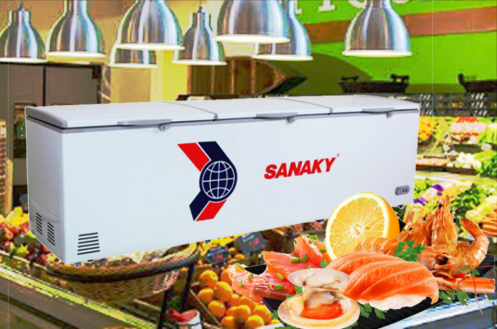 Tủ đông Sanaky VH1168HY2 900 lít