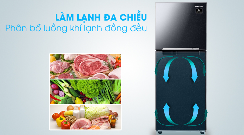 Tủ lạnh Samsung Inverter 208 lít RT20HAR8DBU/SV 2 cánh