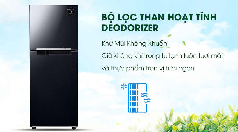 Tủ lạnh Samsung Inverter 208 lít RT20HAR8DBU/SV 2 cánh