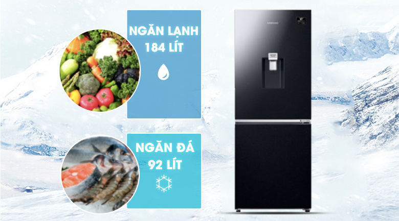 Tủ lạnh Samsung Inverter 276 lít RB27N4170BU/SV