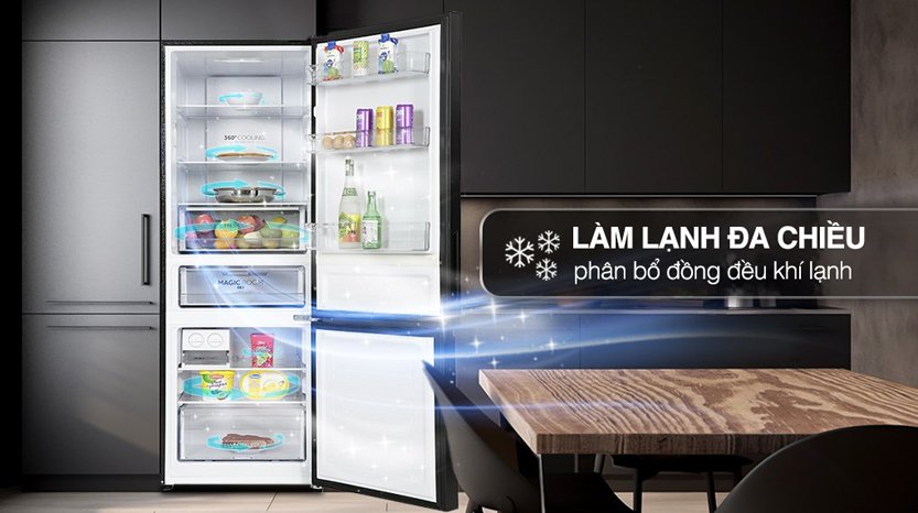 [2024] Tủ lạnh Aqua 2 cánh inverter 292 lít AQR-B360MA(SLB)