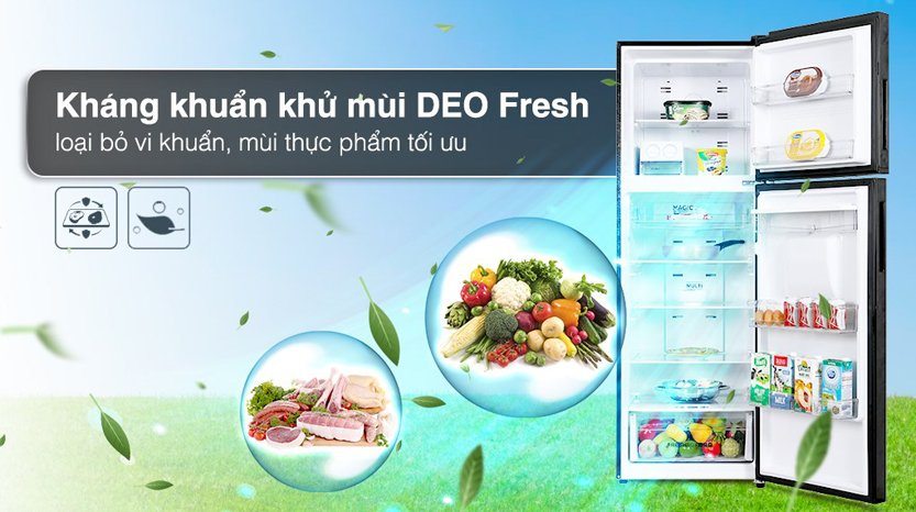 [2024] Tủ lạnh Aqua inverter 298 lít AQR-T380FA(SL)