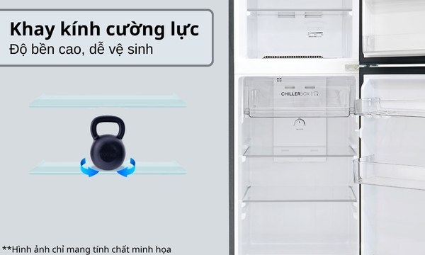 [2024] Tủ lạnh Aqua inverter 283 lít AQR-T299FA(SL)