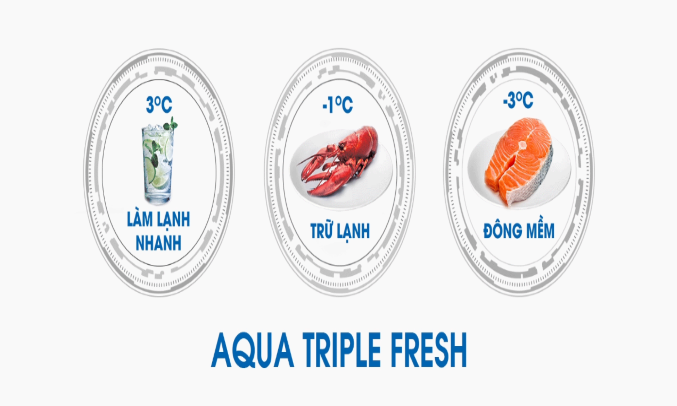 Tủ lạnh AQUA Inverter 344 lít AQR-T389FA(WBS)