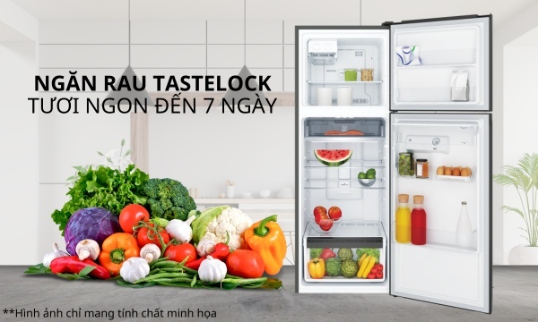 [2024] Tủ lạnh Electrolux inverter 341 lít ETB3740M-H có đông mềm