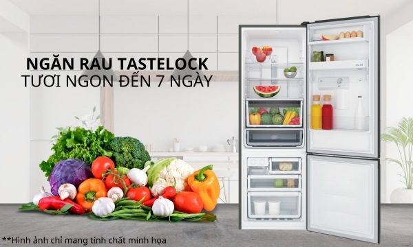 [2024] Tủ lạnh Electrolux inverter 335 lít EBB3742M-H có đông mềm