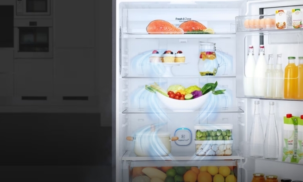 Tủ lạnh LG Inverter 243 lít GV-B242WB 2023