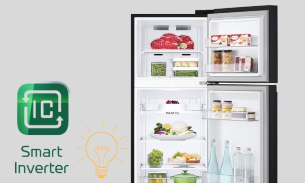 Tủ lạnh LG Inverter 243 lít GV-B242WB 2023