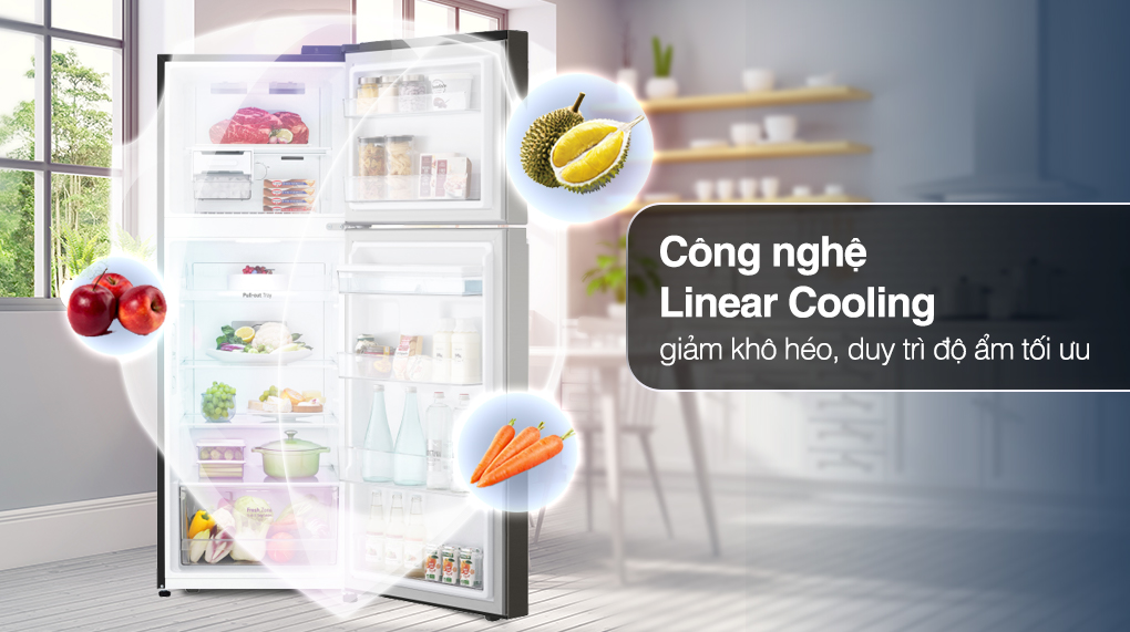 Tủ lạnh 2 cánh LG 287 lít GV-B262BL model 2022 giá tốt