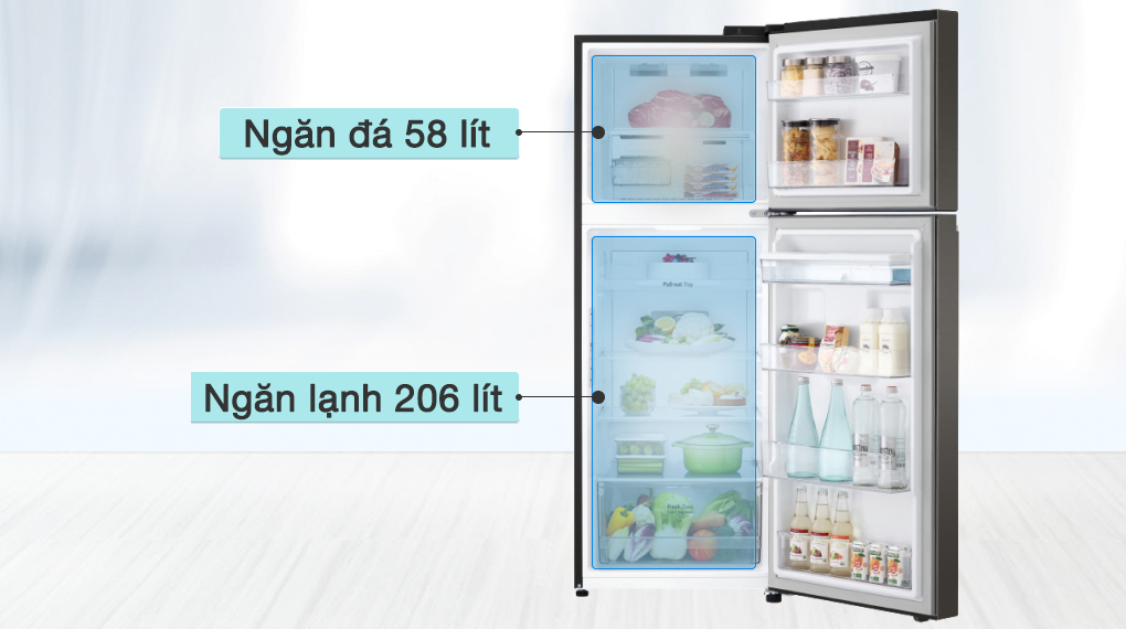 Tủ lạnh 2 cánh LG inverter 264 lít GV-D262BL giá tốt
