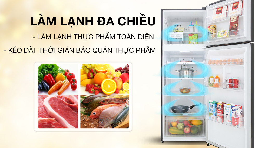 Tủ lạnh 2 cánh LG inverter 266 lít B262PS giá tốt