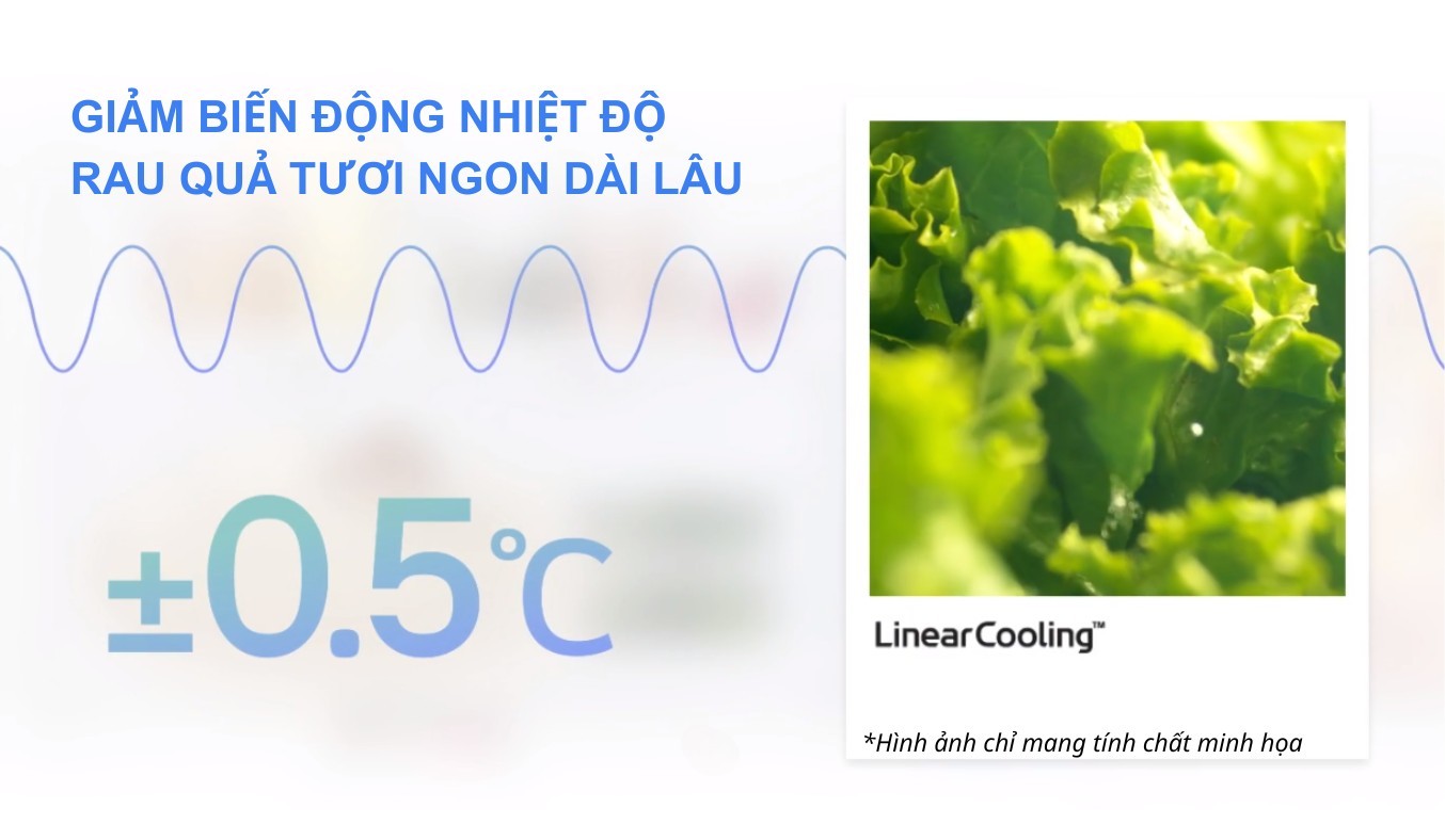 Tủ lạnh LG ngăn đá dưới inverter màu đen 335L LBB33BLM