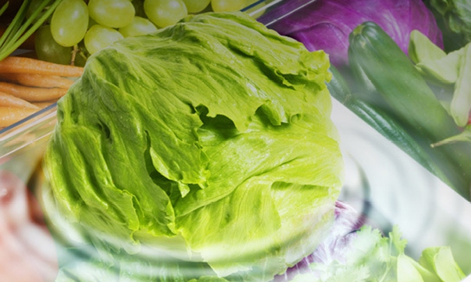 Tủ lạnh Mitsubishi inverter 414 lít MR-V50ER-BRW-V tại Hà Nội