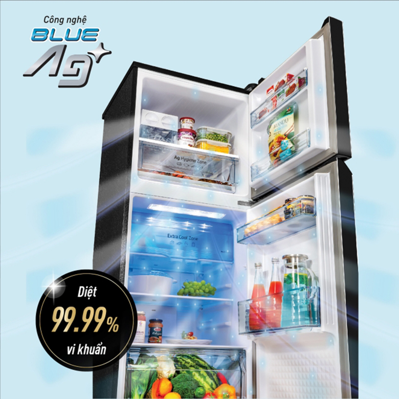 Tủ lạnh Panasonic Inverter 268 lít NR-TV301VGMV công nghệ Blue Ag+