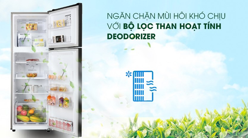 Tủ lạnh Samsung 256 lít RT25M4032BU/SV Inverter
