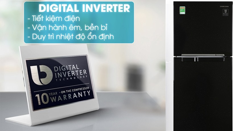 Tủ lạnh Samsung 256 lít RT25M4032BU/SV Inverter