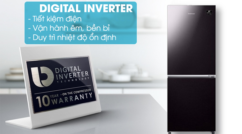 Tủ lạnh Samsung Inverter 280 lít RB27N4010BY/SV