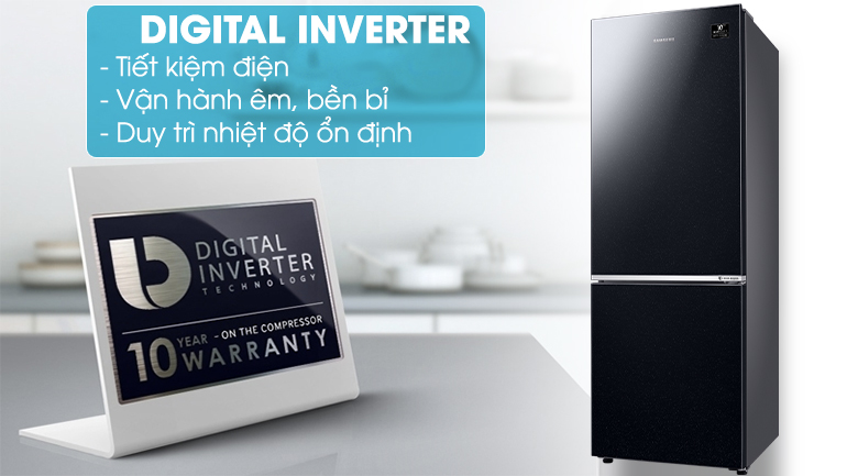 Tủ lạnh Samsung Inverter 310 lít RB30N4010BU/SV 2 cánh