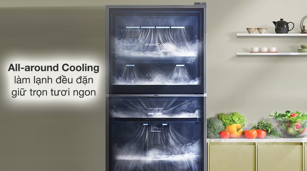 Tủ lạnh 2 cánh Samsung inverter 382 lít RT38CG6584B1 2023 