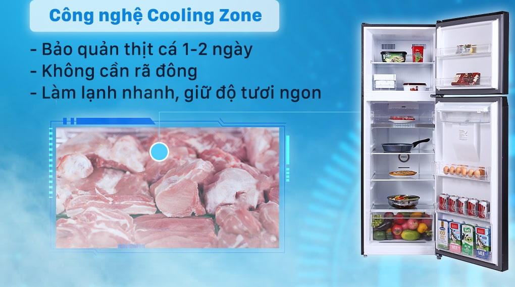 Tủ lạnh Toshiba RT435WE-PMV(06)-MG 337lít Inverter Mới 2021