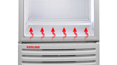 Tủ mát darling DL-3200A 320 lít