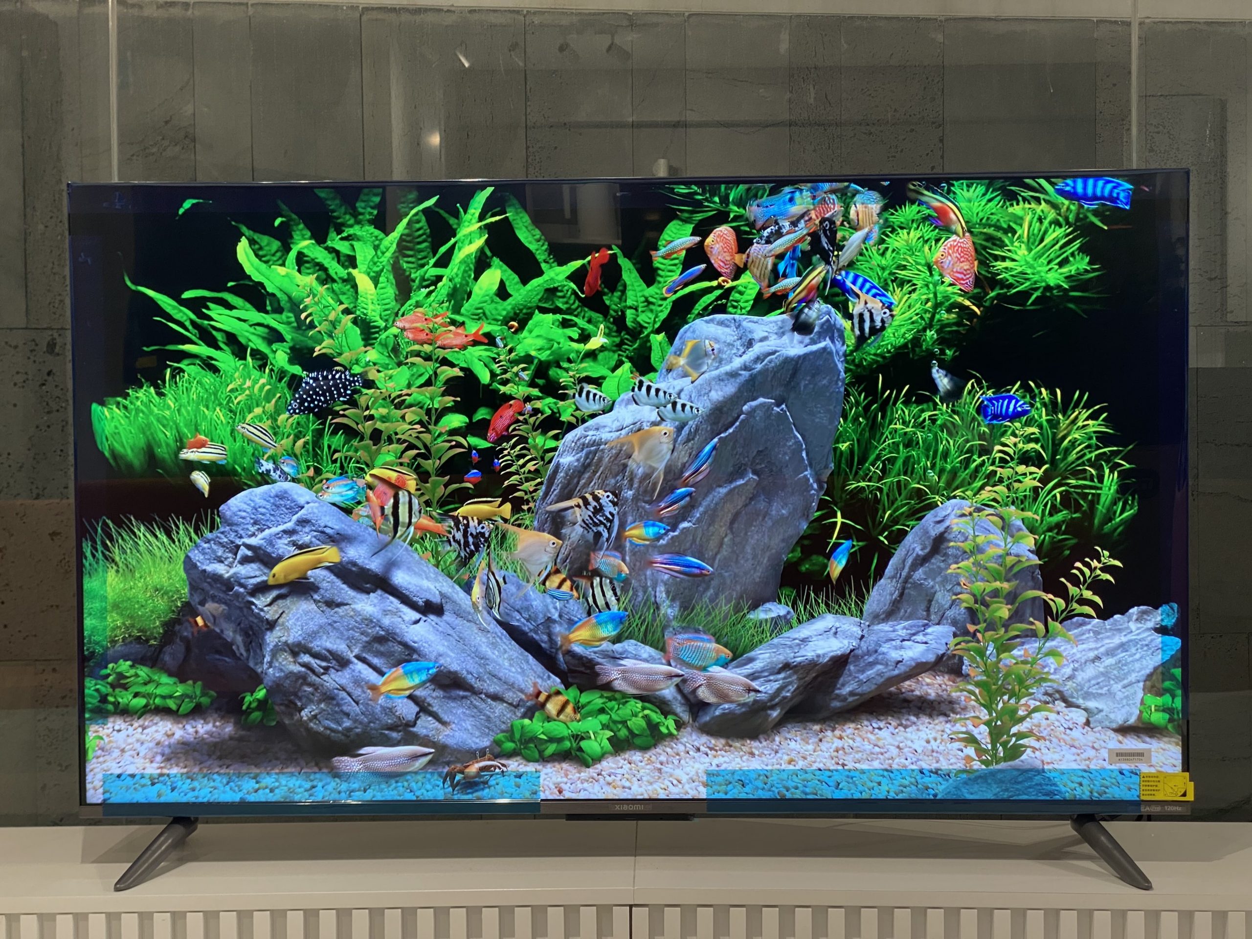 [2024] Tivi Xiaomi EA PRO 55 inch 120HZ