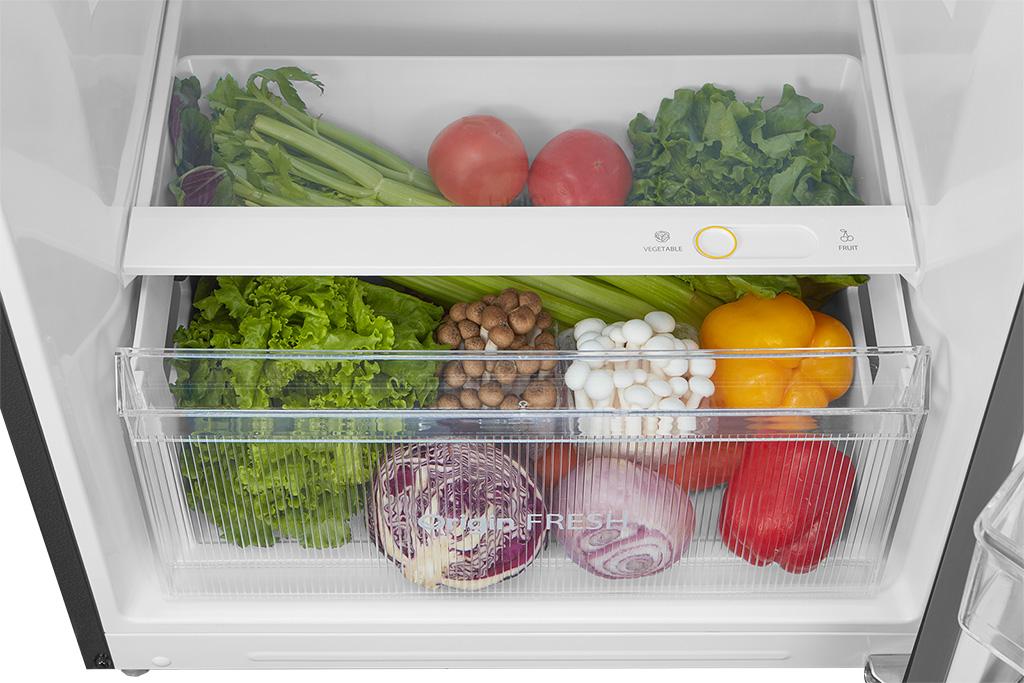 Tủ lạnh Toshiba inverter 312 lít GR-RT416WE-PMV(58)-MM 2023