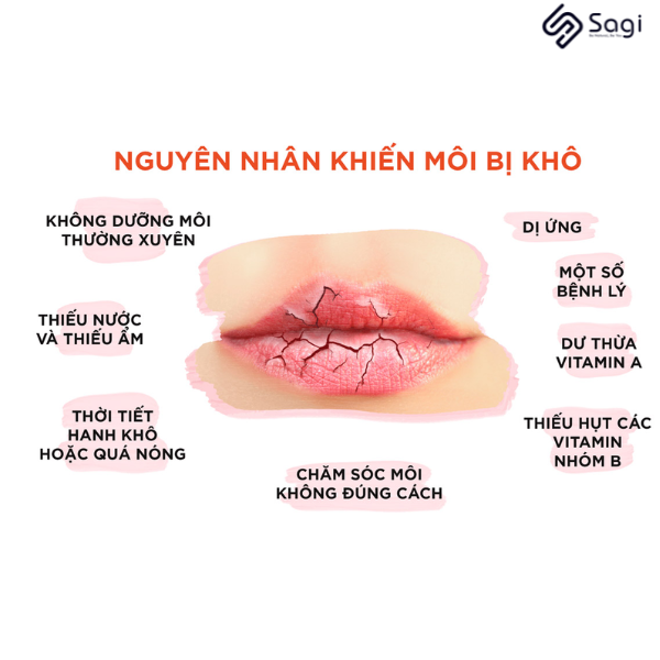 Son Dưỡng Môi DHC Không Màu Hỗ Trợ Giảm Thâm Môi 1.5g