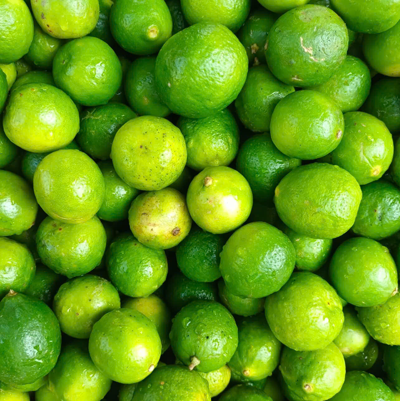 Lime Essential Oil